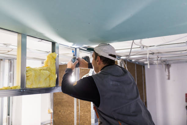 Best Fiberglass Insulation  in Clearwater, MN