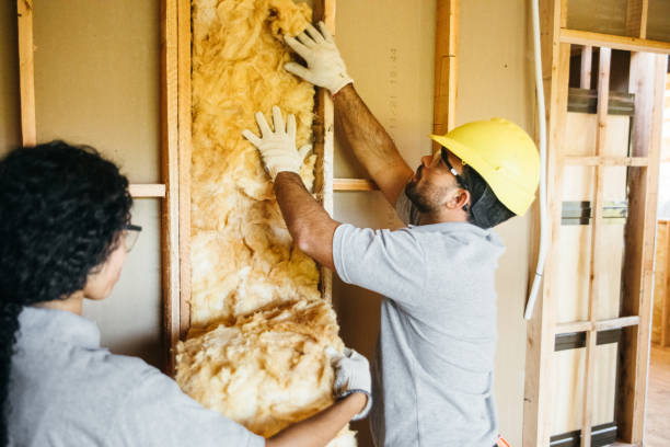 Best Spray Foam Insulation  in Clearwater, MN