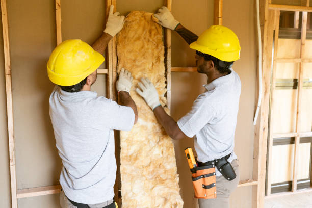 Best Crawl Space Insulation  in Clearwater, MN