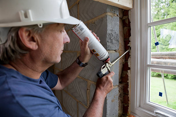 Best Energy-efficient Insulation  in Clearwater, MN